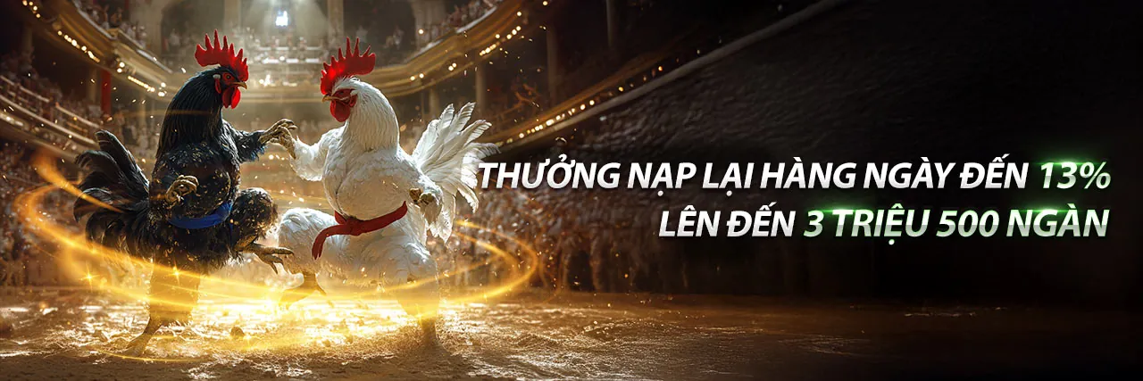 Tin Tức Đá Gà C4 Mới Nhất